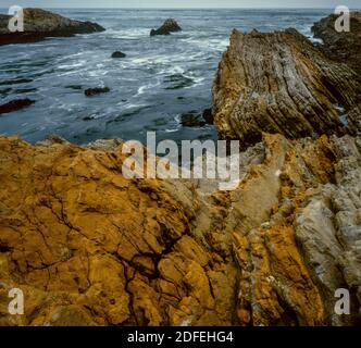 Monterey Schiefer, Montana de Oro State Park, San Luis Obispo County, Kalifornien Stockfoto