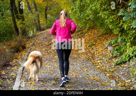 Frau, die mit einem Hund im Herbstpark davonläuft, gesunder Lebensstil Rückansicht Stockfoto