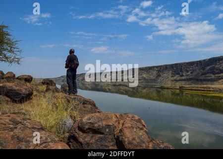 Rückansicht einer hier vor einem Seeufer am Lake Magadi, Kenia Stockfoto