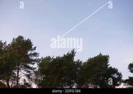 Große Airliner hinterlässt Dampf contrails hinter, aufgrund seiner Motorabgase in der Atmosphäre, wie es in Richtung Baumwipfel reist, wodurch eine dünne Linie Stockfoto