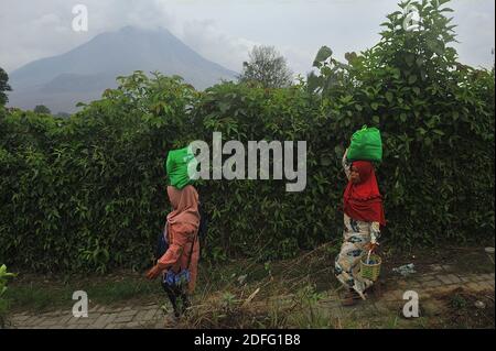 Bewohner, die vom Sinabung-Vulkanausbruch gesehen betroffen waren, erhielten die Hilfe von Freiwilligen der Al Kahfi Foundation als gemeinnützige Hilfsaktion für Bewohner der Dörfer Kuta Tengah, Berastepu und Gamber (Tiga Serangkai) in der Al-Jihad Moschee in Karo, Nord-Sumatra, Indonesien am 30. August 2020. In mehreren Nachrichten über den Ausbruch des Sinabung Vulkans, menschlich einige Freiwillige von Al-Kahfi kamen, um die Psychologie der Bewohner behandelt, vor allem für Kinder, die an der Schwelle einer geologischen Katastrophe Gefahrenzone leben. Foto von Aditya Sutanta/ABACAPRESS.COM Stockfoto