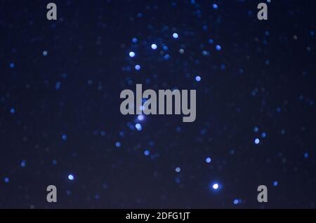 Orion-Sternbild am blauen Nachthimmel Stockfoto