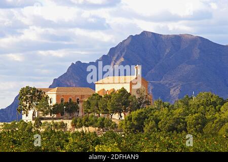 In der Nähe von Algorfa, im Landesinneren an der Costa Blanca, liegt Spanien die 'Ermita de la Virgen del Carmen' umgeben von Orangenbäumen mit dem Callosa-Berg dahinter. Stockfoto