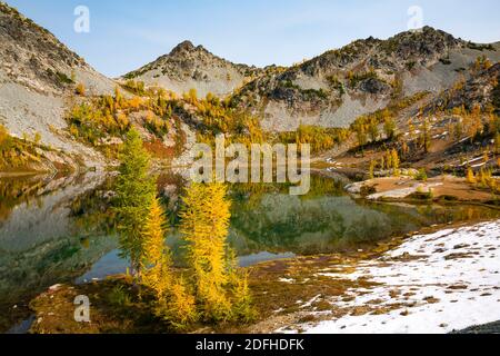 WA18694-00...WASHINGTON - die Herbstsaison erhellt die subalpinen Lärchen am Lower Ice Lake im Glacier Peak Wilderness Area. Stockfoto