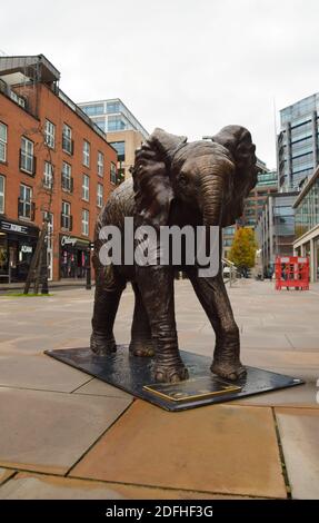 London, Großbritannien. Dezember 2020. Eine Elefantenskulptur aus Bronze auf dem Spitalfields Market. Die 21 lebensgroßen Skulpturen, die von den Künstlern Gillie und Marc geschaffen wurden, sollen das Bewusstsein für die Erhaltung von Elefanten schärfen, und jede Skulptur ist eine Darstellung eines echten Elefantenwaisen in der Obhut des Sheldrick Wildlife Trust. Kredit: SOPA Images Limited/Alamy Live Nachrichten Stockfoto