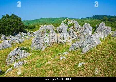 Akiyoshi Plateau die größte Karstlandschaft Japans; Akiyoshidai in Minenstadt, Yamaguchi, Japan. Stockfoto