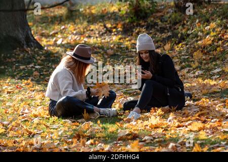 Junge Frauen sitzen auf Gras im Park mit gefallenen Blättern Und Herbstfarben Stockfoto