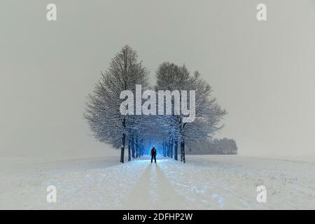 Kind mit Stirnlampe in einer von hinten beleuchteten Allee stehend, Nachtfotografie im Winter Stockfoto