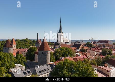 Luftaufnahme der Altstadt von Tallinn vom Toompea-Hügel an sonnigen Sommertagen, Tallinn, Estland Stockfoto