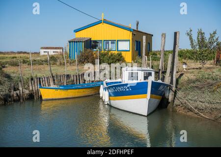 Farbenfrohe Austernhütten bei La Baudissire bei Dolus / Saint-Pierre-d'Oleron, Ile d'Oleron, Charente-Maritime, Frankreich, Europa. Stockfoto