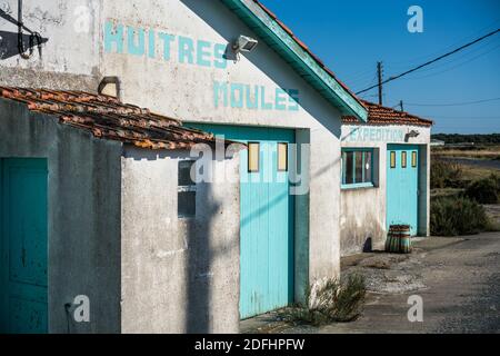 Farbenfrohe Austernhütten bei La Baudissire bei Dolus / Saint-Pierre-d'Oleron, Ile d'Oleron, Charente-Maritime, Frankreich, Europa. Stockfoto