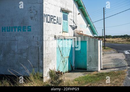 Farbenfrohe Austernhütten bei La Baudissire bei Dolus / Saint-Pierre-d'Oleron, Ile d'Oleron, Charente-Maritime, Frankreich, Europa. Stockfoto