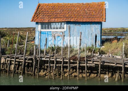 Farbenfrohe Austernhütten bei La Baudissire bei Dolus / Saint-Pierre-d'Oleron, Ile d'Oleron, Charente-Maritime, Frankreich, Europa. Stockfoto