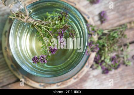 Thymian-Tee, Thymian, Tee aus Thymian, Kräutertee, Blütentee, Heiltee, Sträußchen, Sträusschen, Thymian, Wilder Thymian, Feld-Thymian, Feldthymian, Stockfoto