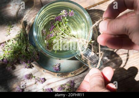 Thymian-Tee, Thymian, Tee aus Thymian, Kräutertee, Blütentee, Heiltee, Sträußchen, Sträusschen, Thymian, Wilder Thymian, Feld-Thymian, Feldthymian, Stockfoto