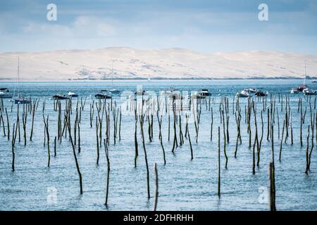 Arcachon Bay, Frankreich, Europa Stockfoto