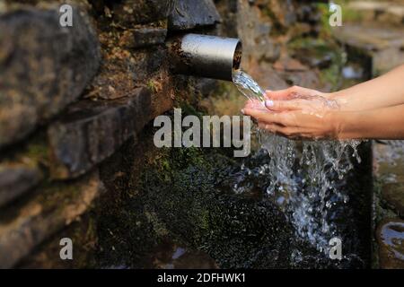 Frau sammelt reines Wasser in der Handfläche von der Quelle in der Wand, hält und trinkt es. Weibliche Hand schöpfen Quellwasser aus dem Stein im Wald. Stockfoto