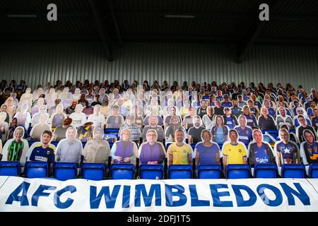 Allgemeine Ansicht von Karton Ausschnitt AFC Wimbledon Fans im Boden vor dem Sky Bet League One Spiel in der Plough Lane, London. Stockfoto