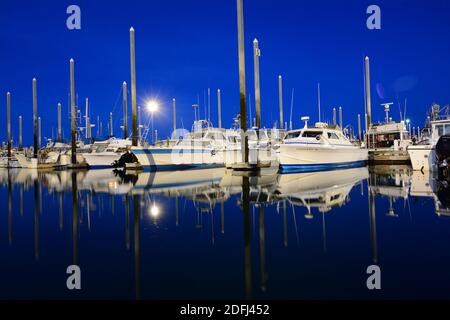 Marina Boote in Homer Spit, Alaska Stockfoto