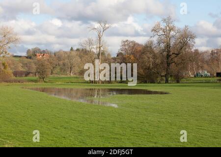 Penshurst,Kent,UK,5. Dezember 2020,EIN wasserdichtes Feld an einem kühlen, aber sonnigen Wintertag in Penshurst, Kent.Quelle: Keith Larby/Alamy Live News Stockfoto