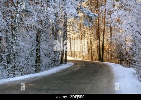 Erstaunlicher Winterblick mit Asphaltstraße durch einen verschneiten Wald mit Bäumen bedeckt mit Raureif, Schneeverwehungen auf der Seite der Straße und Sonnenlicht vor Stockfoto