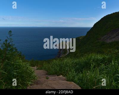 Blick über die Südküste der Insel Moskenesøya, Lofoten, Norwegen mit dichter grüner Vegetation, Küstenstraße und Norwegisches Meer am Horizont. Stockfoto