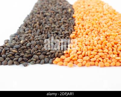Ansicht von zwei Gruppen von Linsen in verschiedenen Farben. Konzept rund um Bio-Produkte und Konsum. Stockfoto