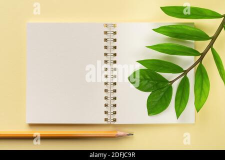 Leerer Frühlingsnotizblock, einfacher Bleistift und frische grüne Blätter der Ewigkeit Zuzu Pflanze oder Zamioculcas zamiifolia auf pastellgelbem Hintergrund. Lebendiges Grün. Stockfoto