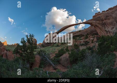 Sacred Arch im Arches National Park, Moab, Utah, Vereinigte Staaten von Amerika Stockfoto