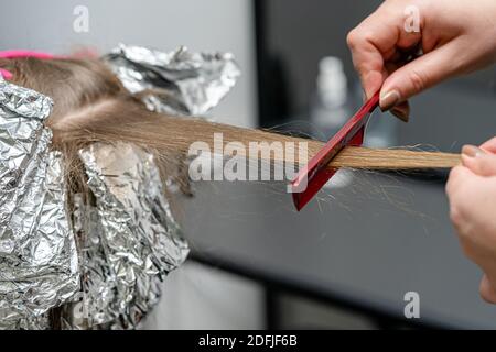 Friseur macht Bouffant mit Kamm auf dünnen Strähnen. Shatush Technik für Haaraufhellung Stockfoto