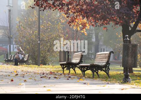 Belgrad, Serbien - 1. Dezember 2020: Bänke am gepflasterten Weg in einem öffentlichen Park an einem sonnigen und nebligen Herbstmorgen mit gefallenen Blättern Stockfoto