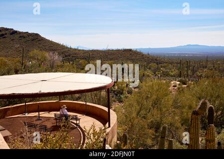 Mann, der an einem malerischen Aussichtspunkt im Arizona Sonora Desert Museum, Tucson, Arizona, sitzt Stockfoto