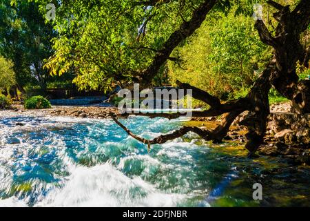 Munzur Mount und Nationalpark. Munzur River in Ovacik, Tunceli. Türkischer Name; Munzur Gozeleri. Stockfoto