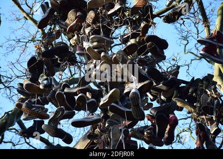 Der Schuhbaum Des Heaton Park Newcastle Stockfoto