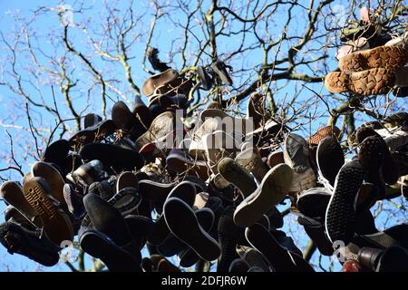 Der Schuhbaum Des Heaton Park Newcastle Stockfoto