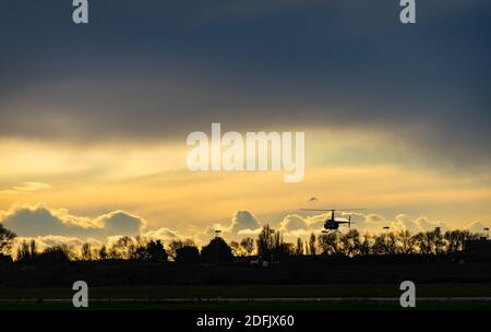 Hubschrauber schwebt über der Hecke im Abendlicht Stockfoto