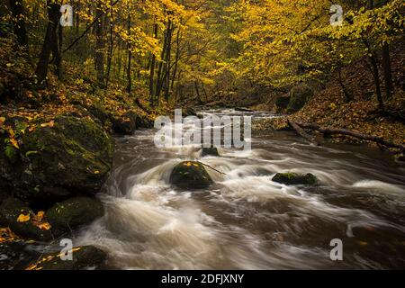 Herbst auf der Little Pigeon River in Tennessee Stockfoto