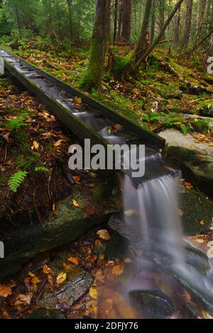 Herbstansicht der Hauptwasserquellen der Elakala Falls in Blackwater Falls State Park in der Nähe von Davis West Virginia Stockfoto