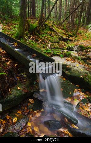 Herbstansicht der Hauptwasserquellen der Elakala Falls in Blackwater Falls State Park in der Nähe von Davis West Virginia Stockfoto