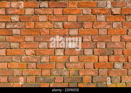Ziegelwand Textur, flämische Bindung Mauerwerk Muster einer Vintage Wand, UK Stockfoto