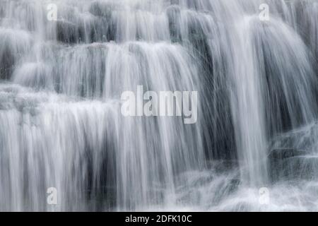 Lower Falls of Shays laufen im Blackwater Falls State Park, WV Stockfoto