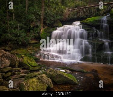 Lower Falls of Shays laufen im Blackwater Falls State Park, WV Stockfoto