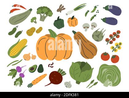 Gemüse isoliert auf weißem Hintergrund. Set von Zucchini, Champignons, Auberginen, Kartoffeln, Kürbis, Tomaten etc. Vektor flache Abbildung. Stock Vektor