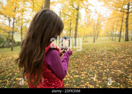 Ein junges Mädchen macht ein Foto mit einem Smartphone im Ginko-Baumhain im Blandy National Arboretum, University of Virginia. Stockfoto