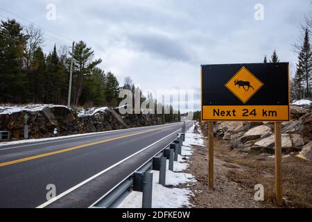 Ein großes Elchkreuzschild mit einer Ikone von A Elche warnt vor der Gefahr der Überquerung der Wildtiere Die Autobahn für die nächsten 24 Kilometer der Straße ah Stockfoto