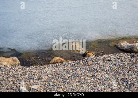 Sylvan Lake November 2020 Stockfoto