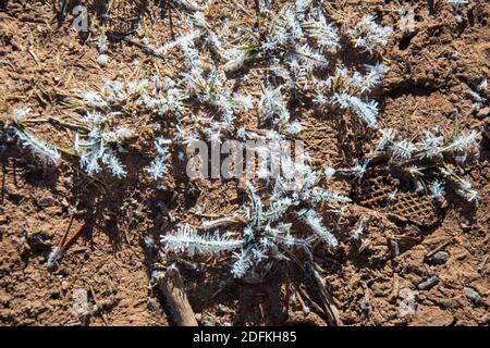 Sylvan Lake November 2020 Stockfoto