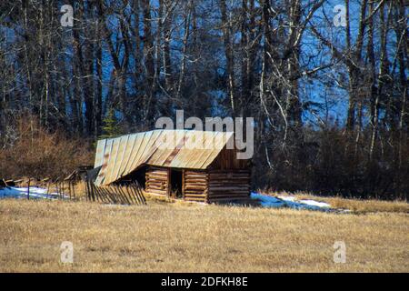 Sylvan Lake November 2020 Stockfoto