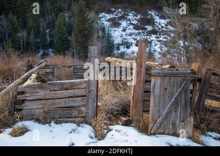 Sylvan Lake November 2020 Stockfoto