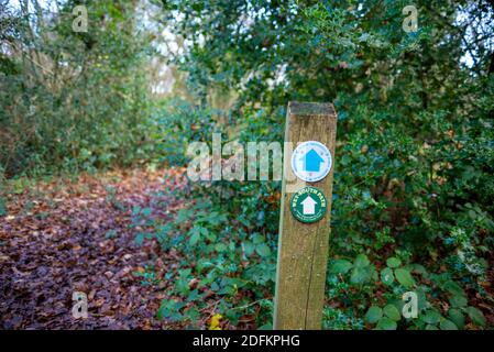 Teil des öffentlichen Wey South Path-Fußweges durch das Naturschutzgebiet Fir Tree Copse. Surrey Wildlife Trust, Chiddingfold Forest, SSSI. Wegmarkierungsstift Stockfoto